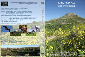 immagine dvd